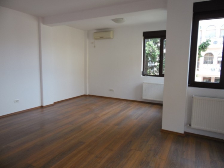 Villa for rent 6 rooms Domenii area, Bucharest