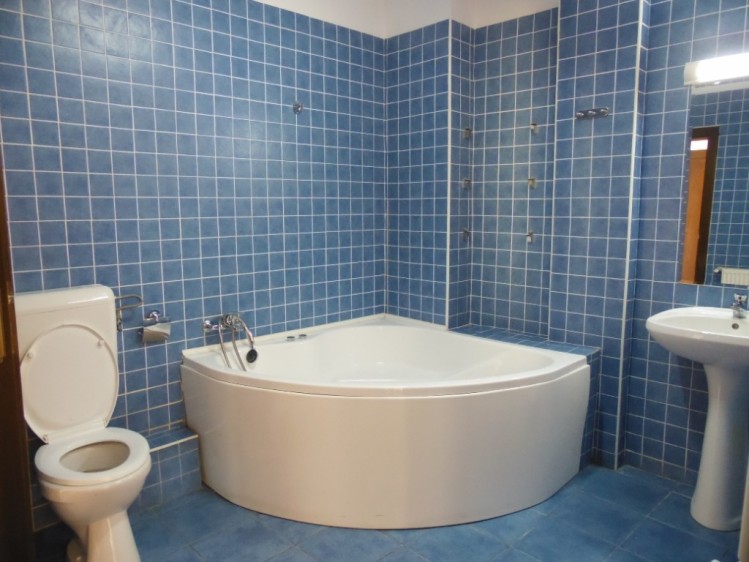 Villa for rent 6 rooms Domenii area, Bucharest