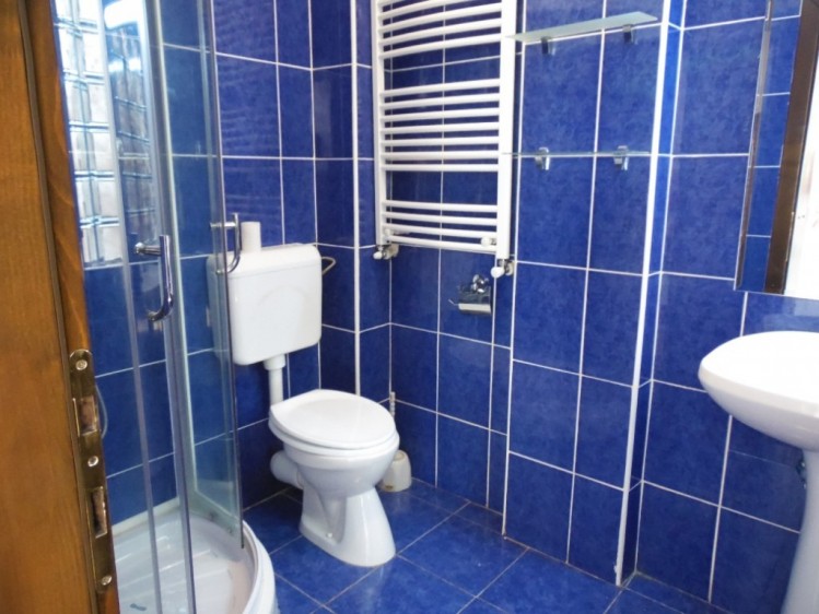 Villa for rent 6 rooms Domenii area, Bucharest