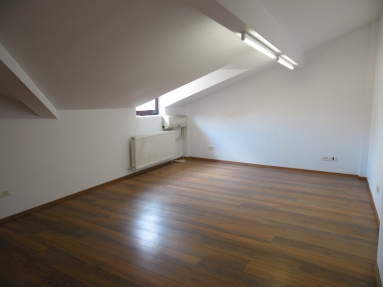 Villa for rent 6 rooms Domenii area, Bucharest