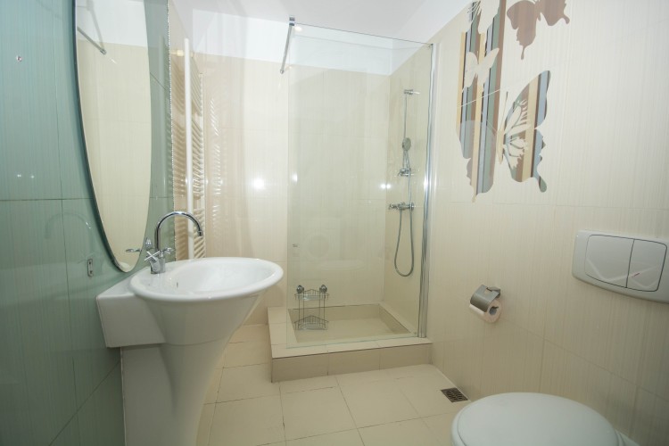 Apartment for rent 3 rooms Herastrau area, Bucharest 228 sqm