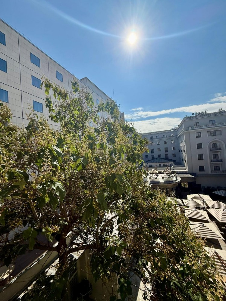 Apartament superb in inima capitalei, zona Calea Victoriei - Radisson, 151 mp