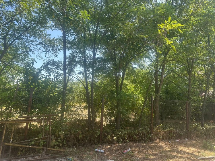 Casa de vanzare 4 camere zona Corbeanca, judetul Ilfov 145 mp