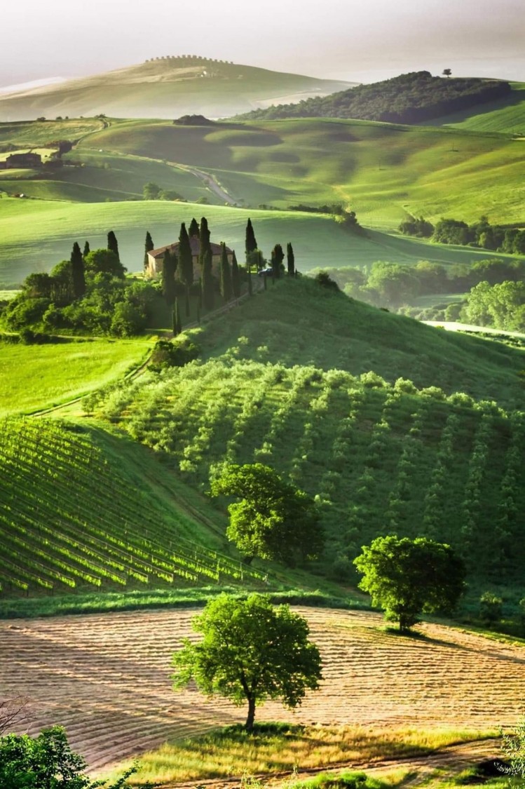 Domeniu impresionant de vanzare Toscana, Italia
