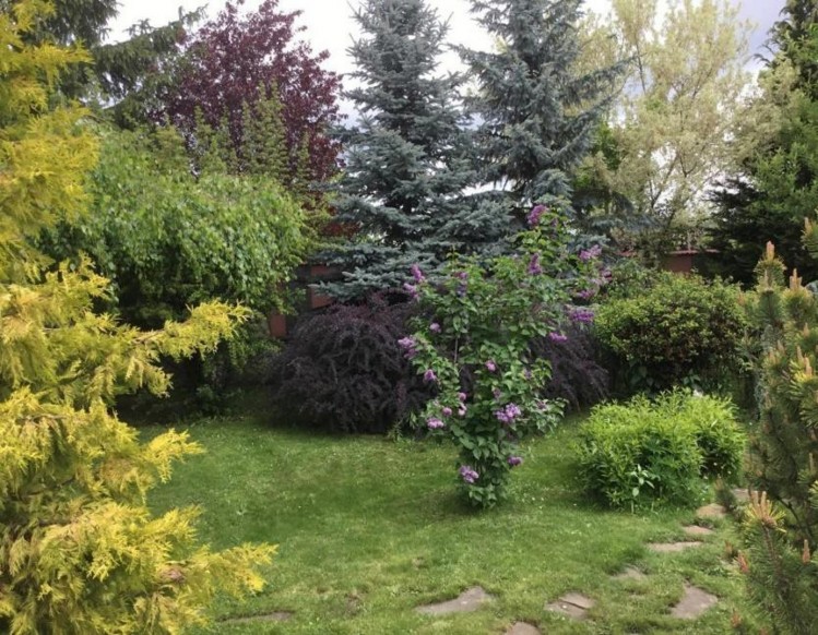Domeniu multifamilial/ pensiune, localitatea Cornu, judetul Prahova