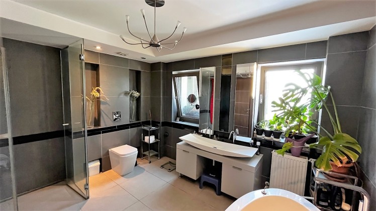 Duplex for sale 5 room Ultracentral - Pache Protopopescu, Bucharest