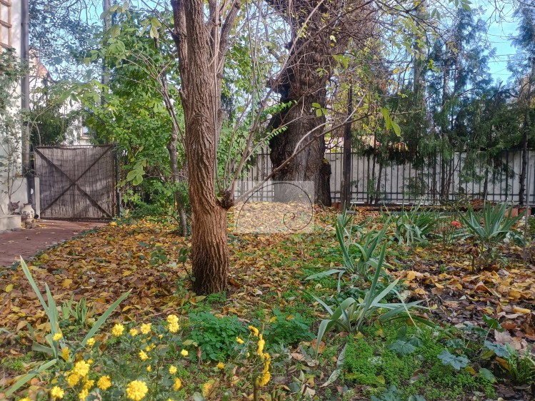 Duplex in vila de inchiriat 5 camere zona Foisorul de Foc, Bucuresti