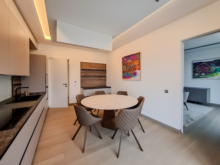 Fully furnished 5-room penthouse for rent with SPA and Gym &ndash; Kiseleff area, Bucharest