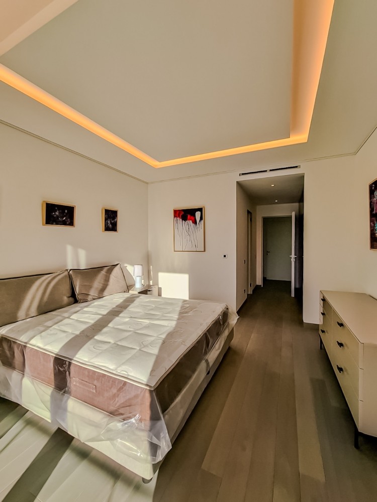 Fully furnished 5-room penthouse for rent with SPA and Gym &ndash; Kiseleff area, Bucharest