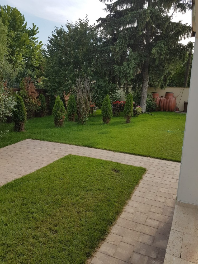 Proprietate de inchiriat pretabila rezidential, scoala, activitati comerciale, zona Otopeni - Fermei, judetul Ilfov