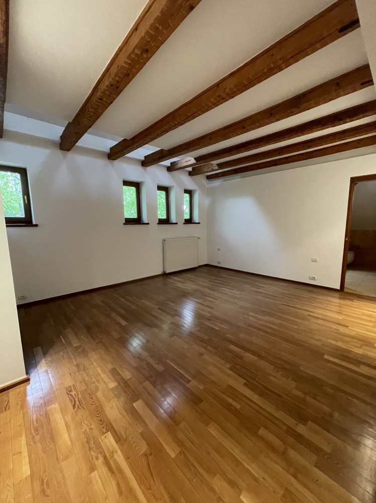 Unique and representative property for rent in Dorobanti - Capitale area, 650 sqm