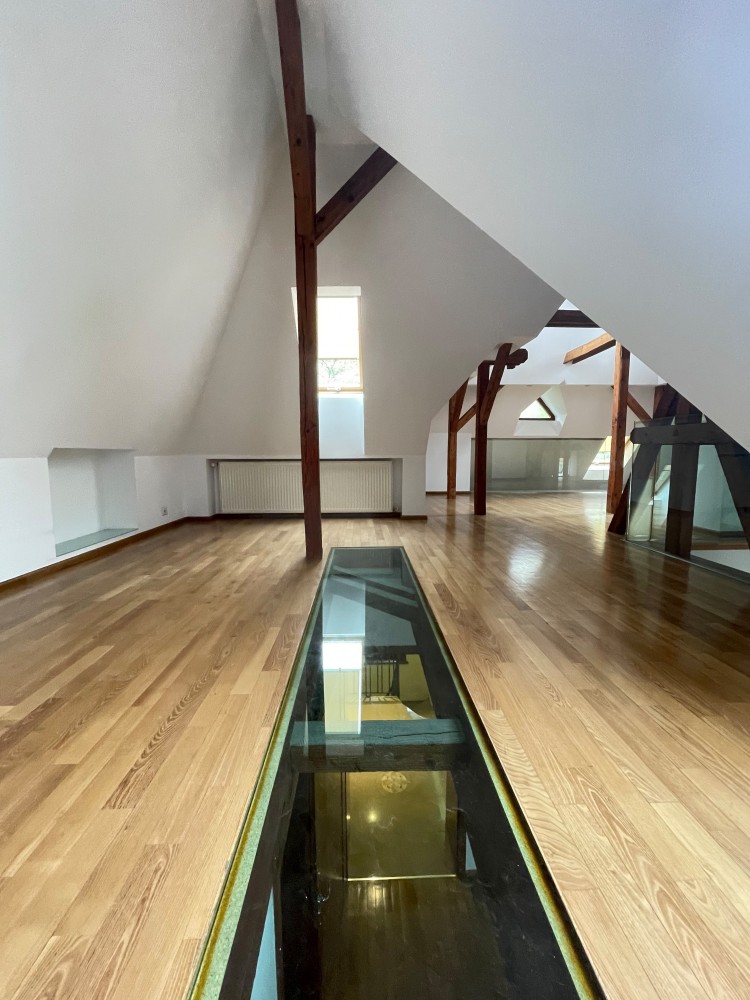 Unique and representative property for rent in Dorobanti - Capitale area, 650 sqm