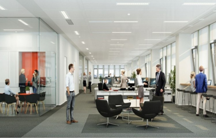 Spatii birouri de inchiriat zona Orhideea - Grozavesti, Bucuresti