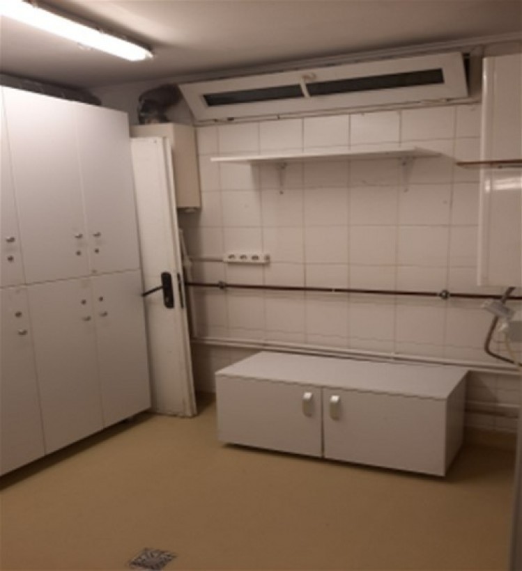 Commercial space for rent Dorobanti - Beller area, Bucharest