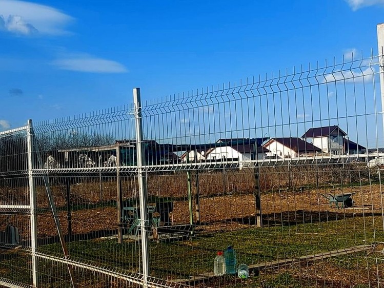 Teren de vanzare Cernica - Tanganu, judetul Ilfov suprafete intre 1.000 - 20.000 mp