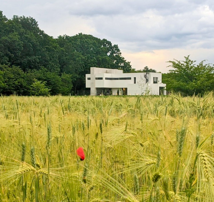Vila cu arhitectura contemporana 4 camere zona Corbeanca, judetul Ilfov