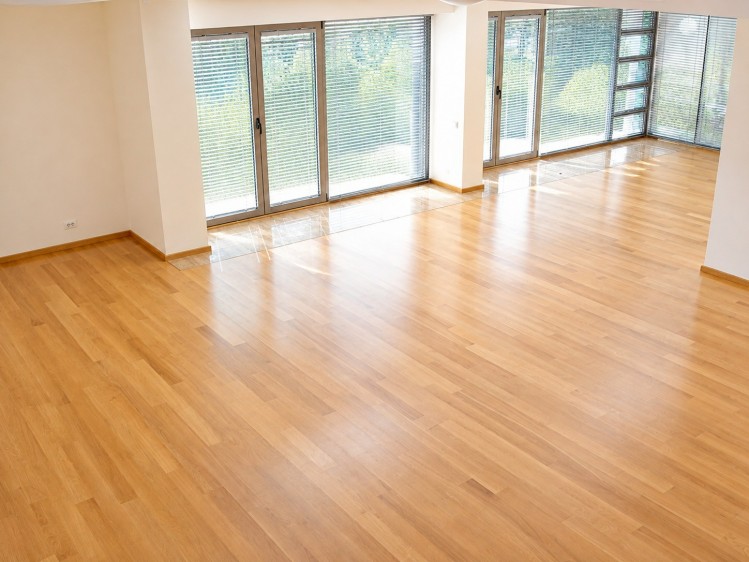Villa for rent 5 rooms Baneasa - Herastrau Park, Bucharest 400 sqm