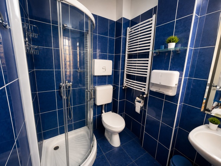 Villa for rent 6 rooms Domenii area, Bucharest