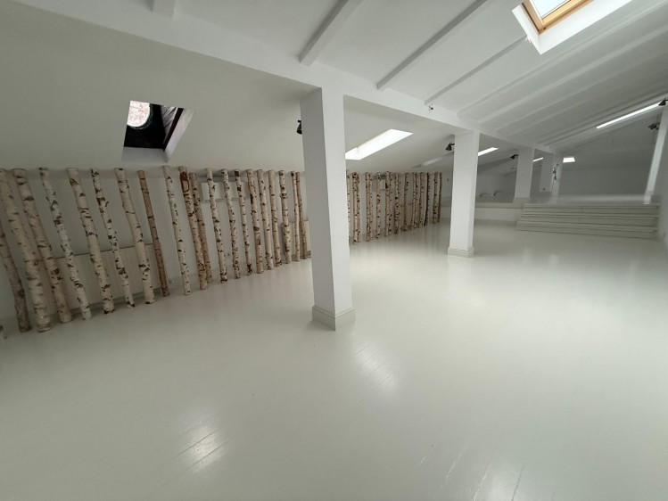 Vila de inchiriat 7 camere pretabila birouri si activitati comerciale zona Piata Victoriei, Bucuresti