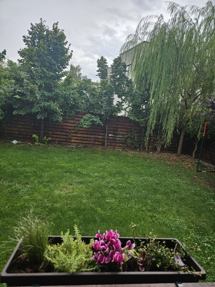 Vila de vanzare 5 camere zona Corbeanca - Central, judetul Ilfov 230 mp