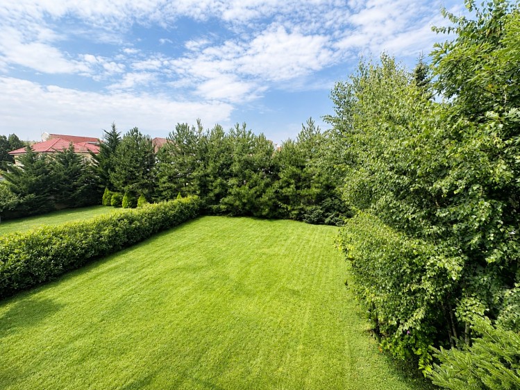 Vila de vanzare 6 camere Iancu Nicolae - Mark Twain, Bucuresti 375 mp