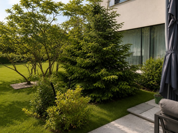 Vila de vanzare 6 camere Iancu Nicolae - Mark Twain, Bucuresti 375 mp