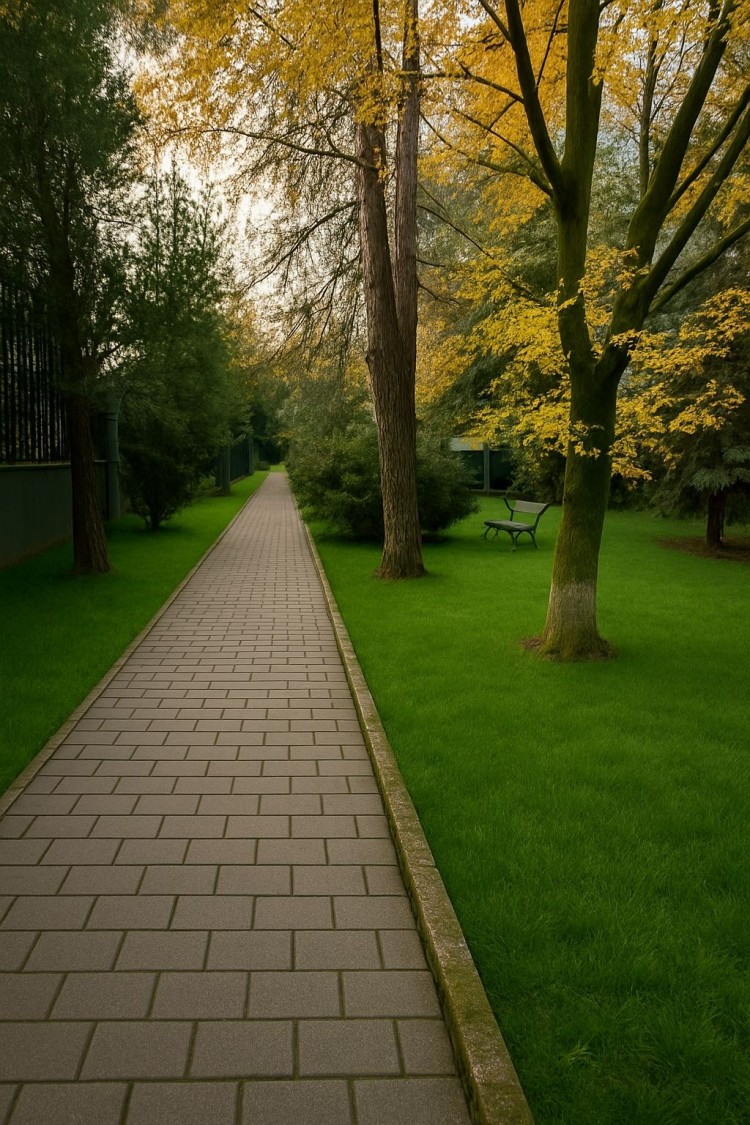 Villa for sale, exceptional location with pontoon and generous land plot, Buftea, Ilfov county