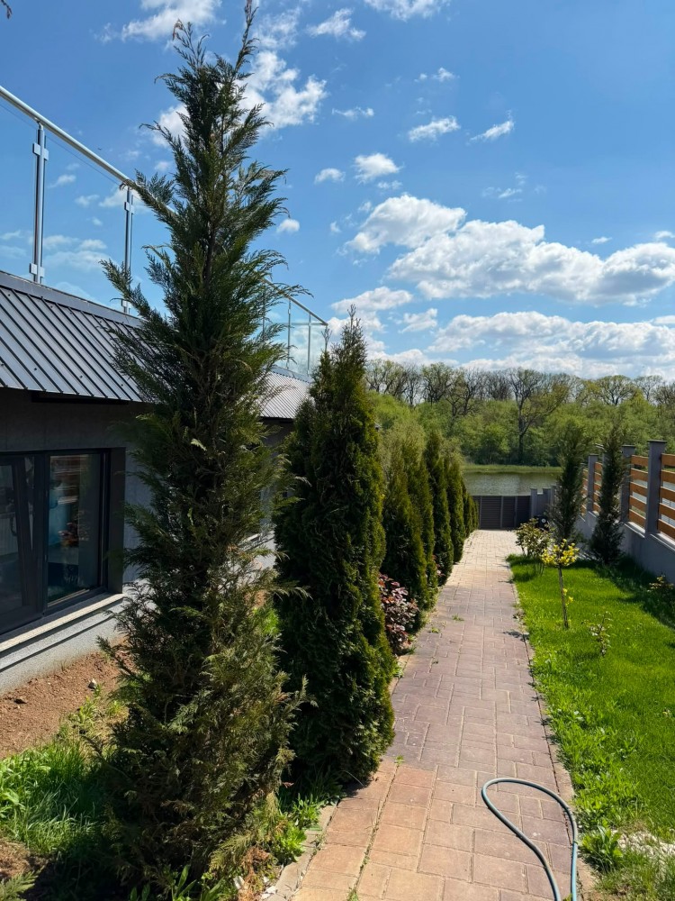 Vila exclusivista de vanzare 5 camere zona Corbeanca, judetul Ilfov 426 mp