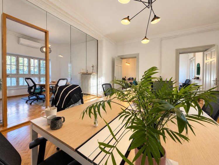 Representative historic villa for sale &ndash; Kiseleff &ndash; Triumph Arch, Bucharest