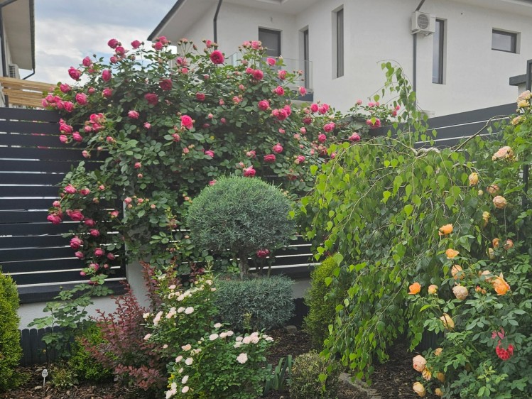 Turnkey villa for sale – 6 rooms, Paradisul Verde area – Corbeanca, Ilfov county